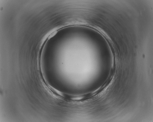 X0000072991246200607211151