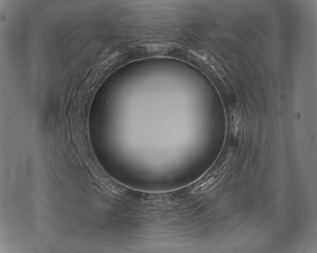 X0000072991249200607211150