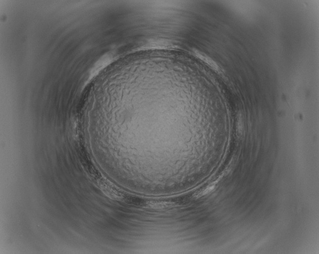 X0000072991258200607211150