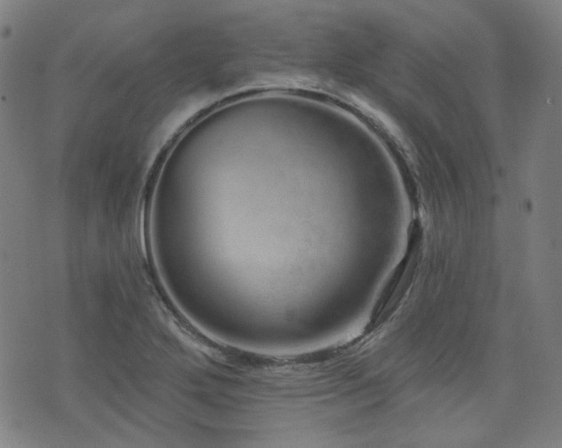 X0000072991272200607211149