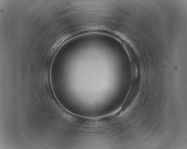 X0000072991273200607211149