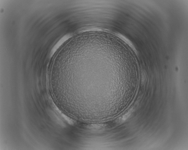X0000072991290200607211149