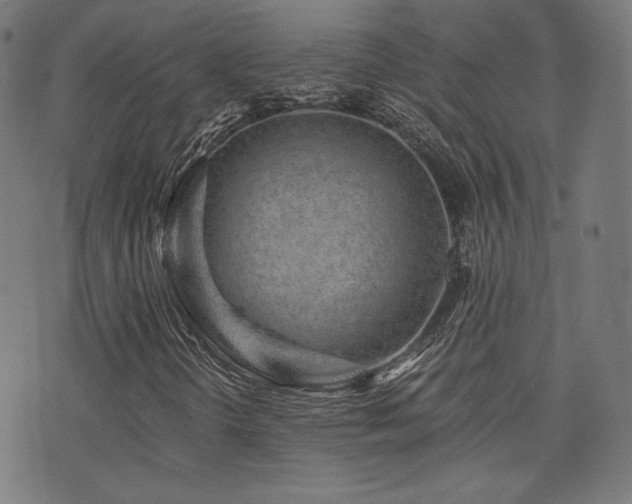 X0000072991298200607211148