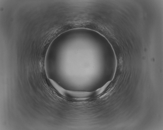 X0000072991300200607211148