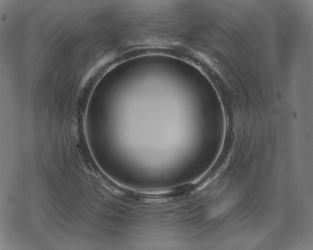 X0000072991307200607211148