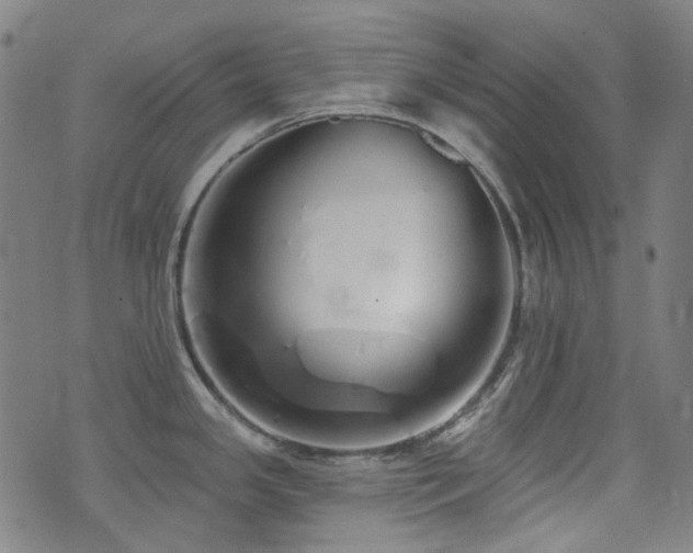 X0000072991341200607211149
