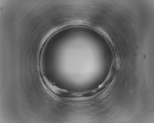 X0000072991342200607211149
