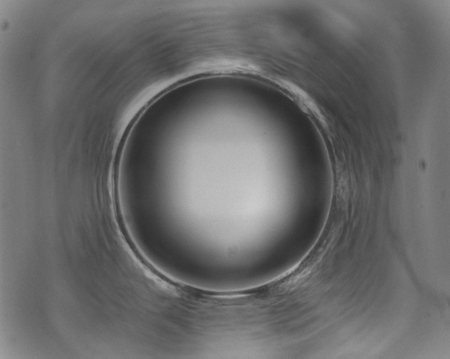 X0000072991343200607211149