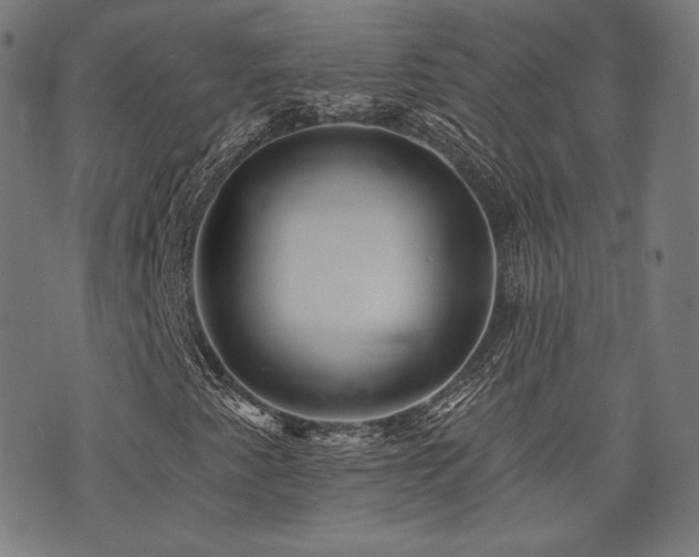 X0000072991345200607211148