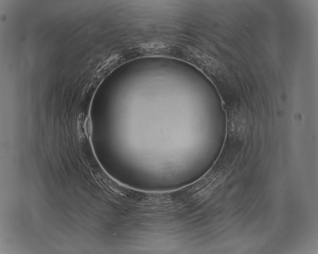X0000072991346200607211148