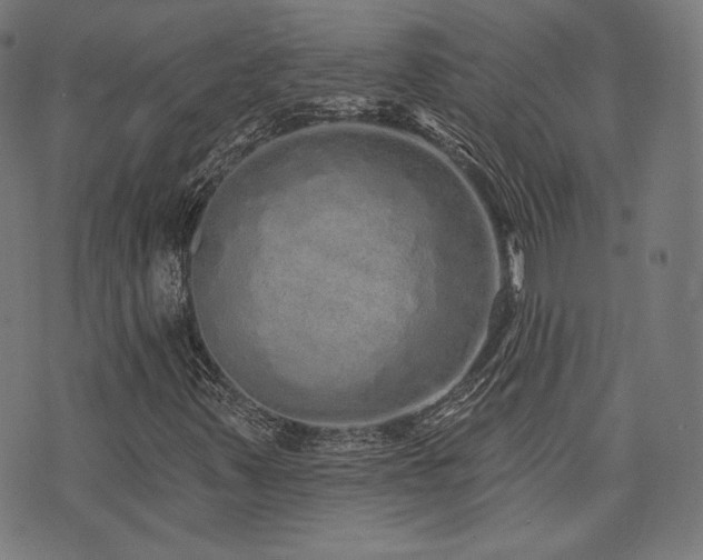 X0000072991347200607211148