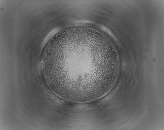 X0000072991362200607211148