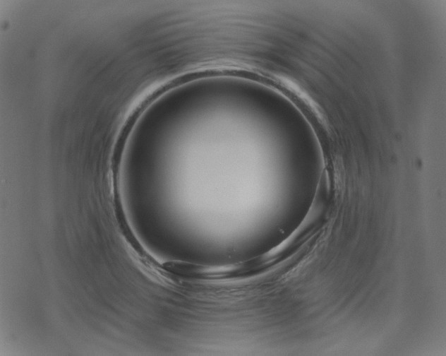 X0000072991372200607211148