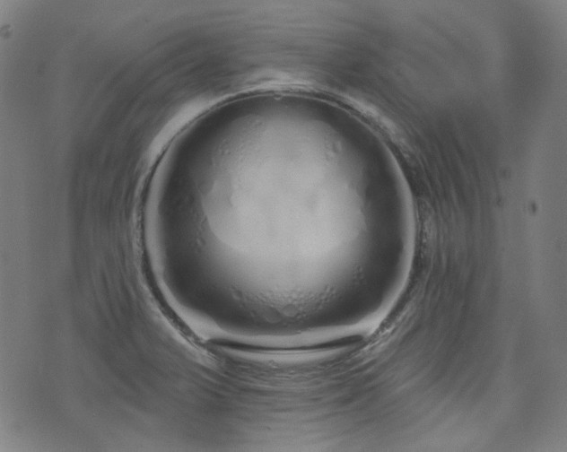 X0000072991375200607211148