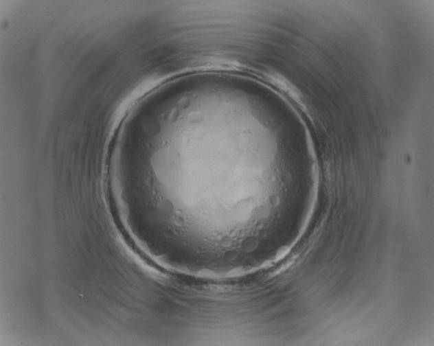 X0000072991379200607211148