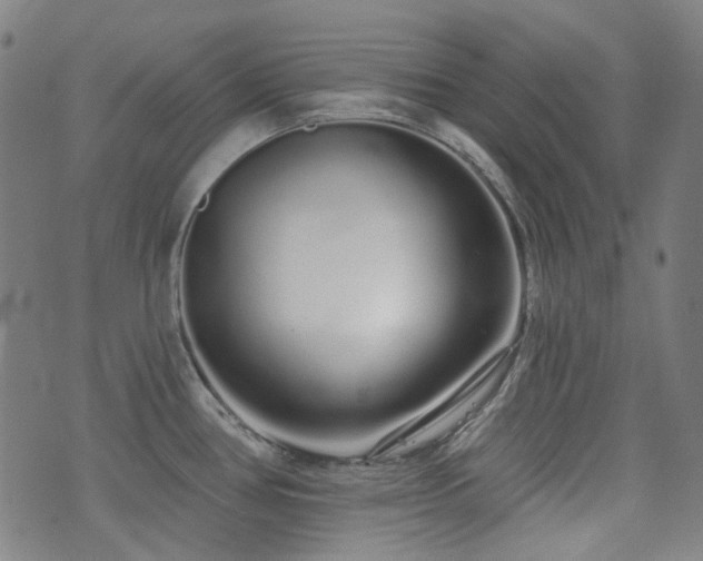 X0000072991386200607211148