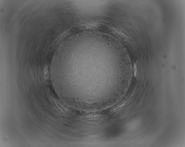 X0000072991395200607211147