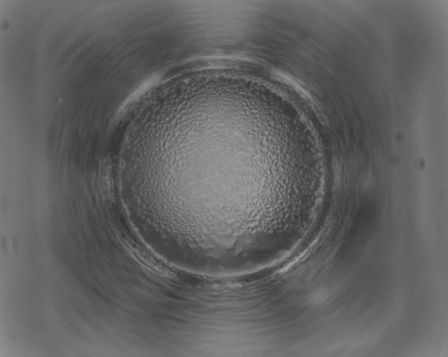 X0000072991403200607211147