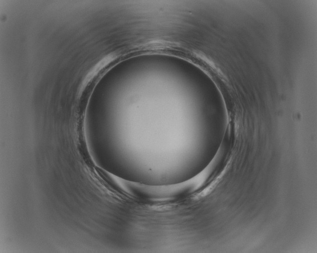 X0000072991410200607211147