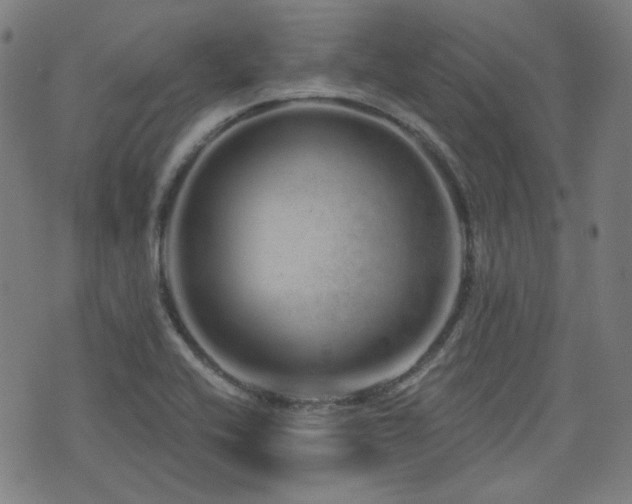 X0000072991416200607211147