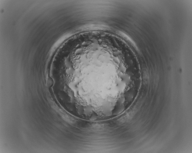 X0000072991419200607211147
