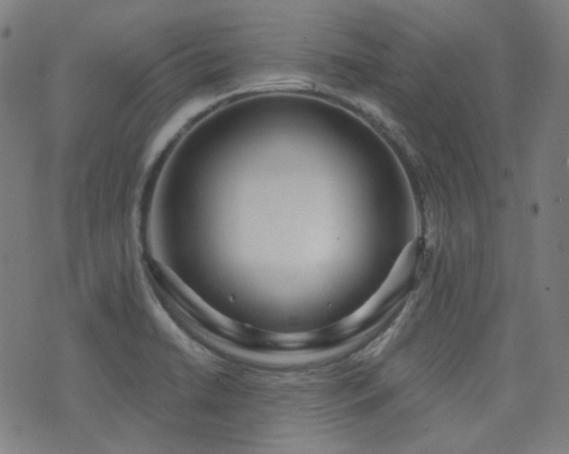 X0000072991422200607211147