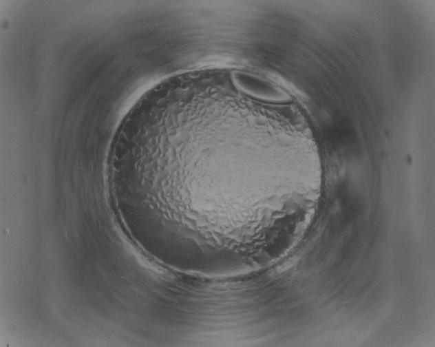 X0000072991423200607211147