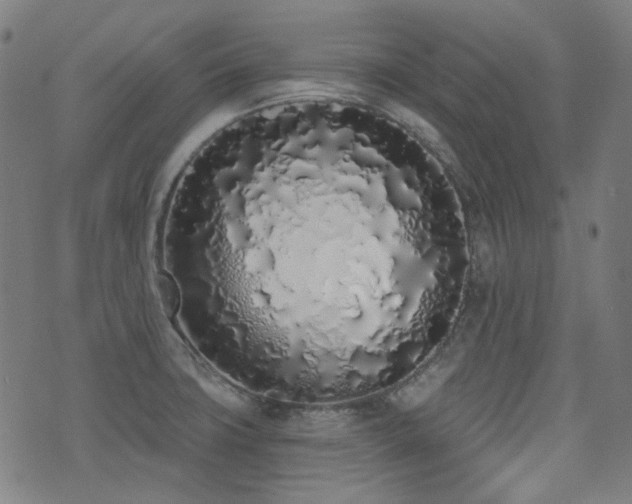 X0000072991427200607211147
