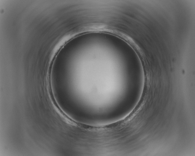 X0000072991432200607211147