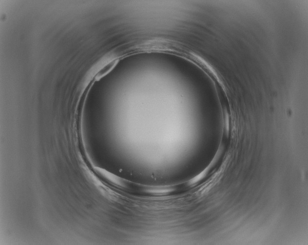 X0000072991434200607211147