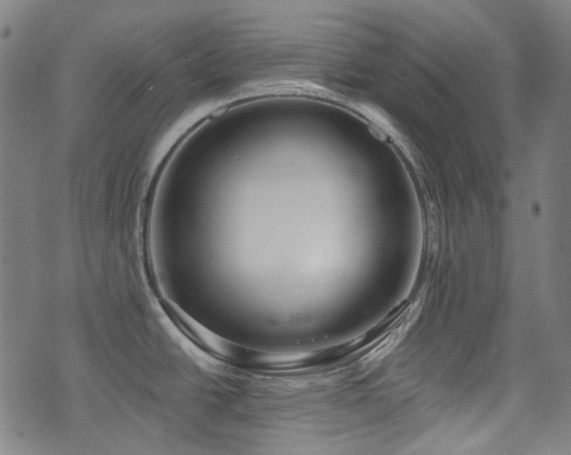 X0000072991438200607211147