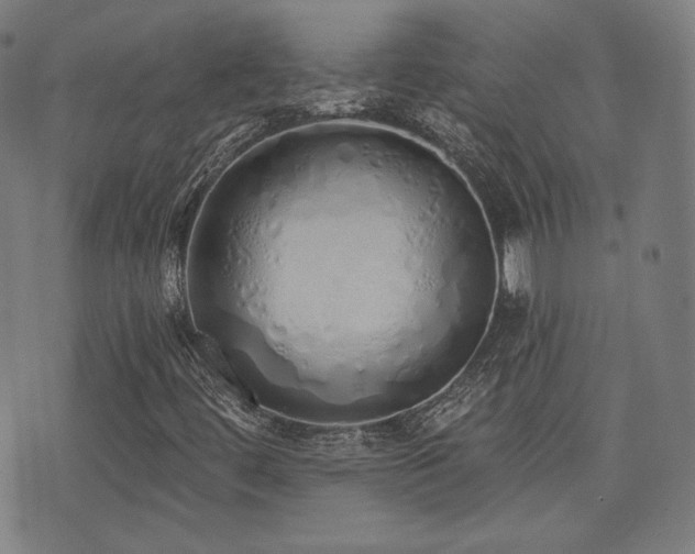 X0000072991444200607211147