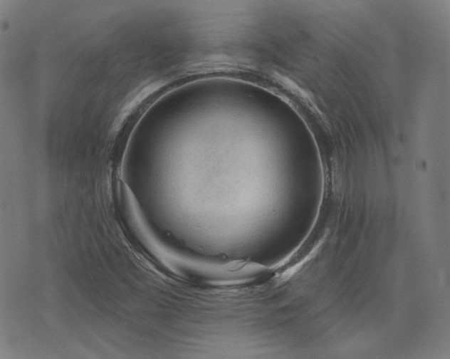 X0000072991453200607211146