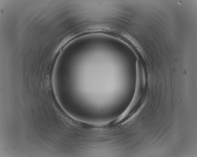X0000072991465200607211146