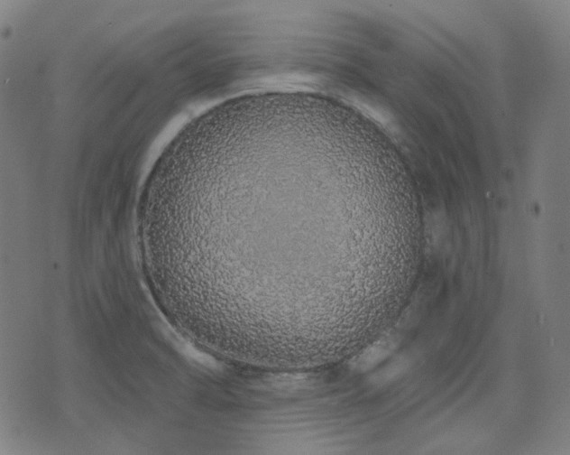 X0000072991470200607211146