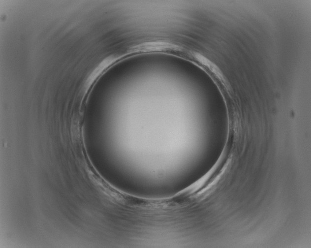 X0000072991473200607211146