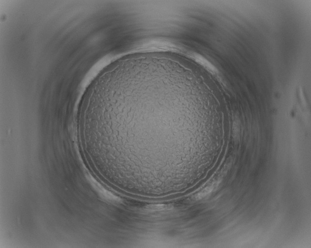X0000072991478200607211146