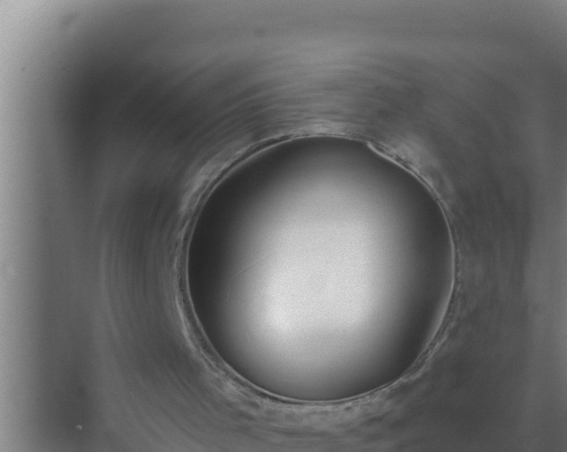 X0000072990001200607290026