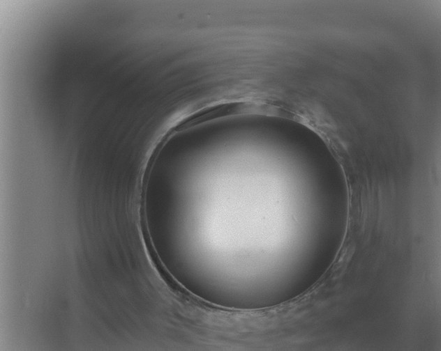 X0000072990003200607290026