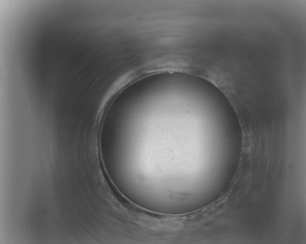 X0000072990004200607290026