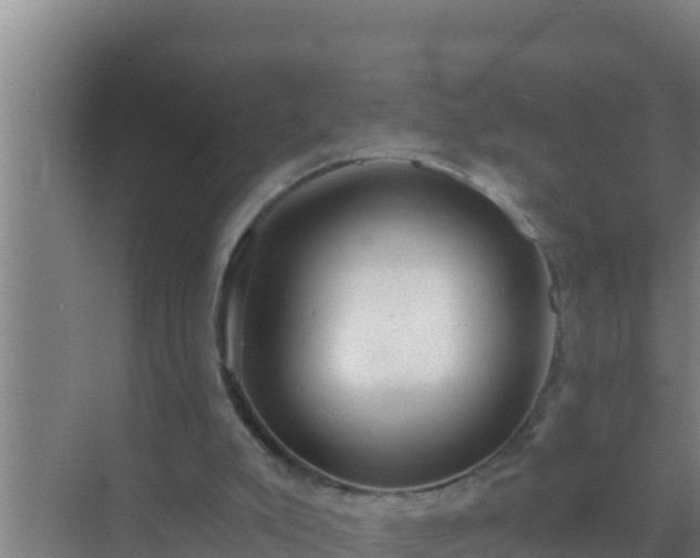 X0000072990007200607290026