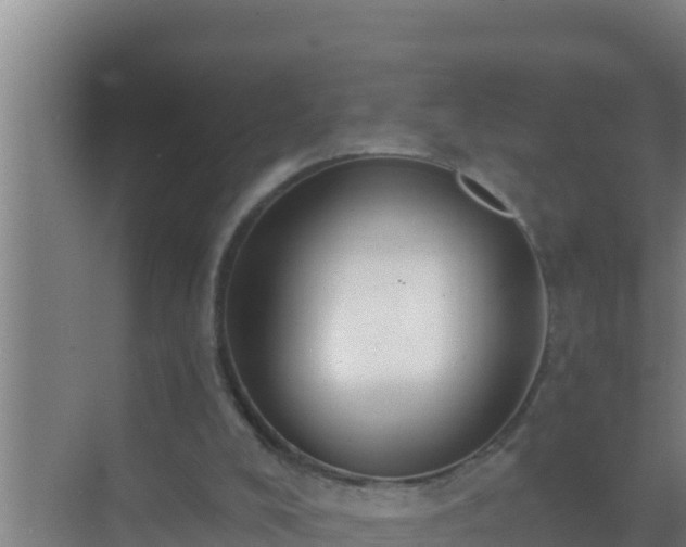 X0000072990008200607290026