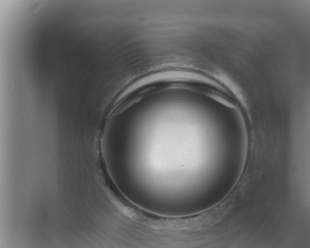 X0000072990009200607290026