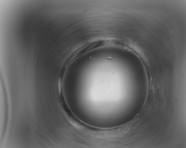 X0000072990013200607290026