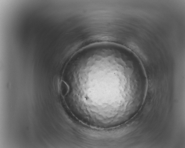 X0000072990014200607290026