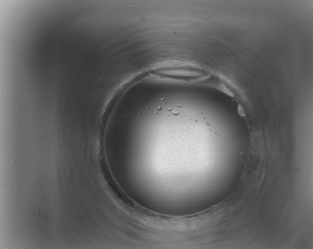 X0000072990015200607290025