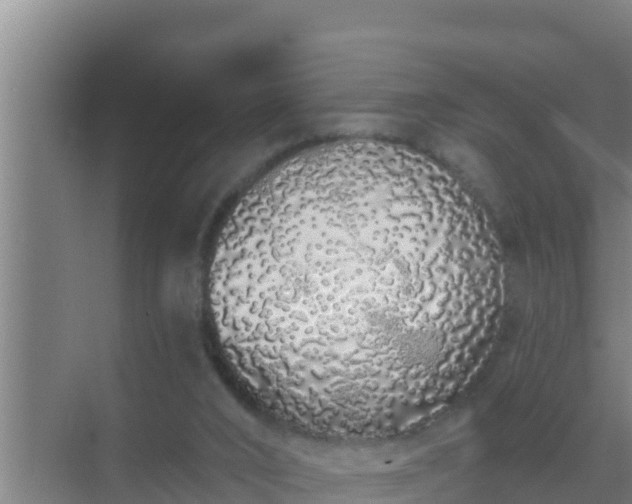 X0000072990016200607290025