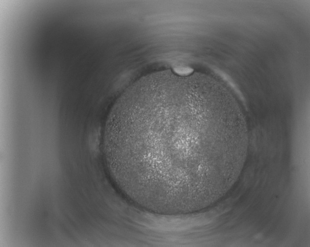 X0000072990018200607290025