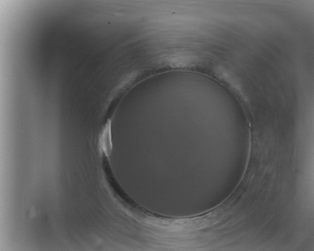 X0000072990019200607290025