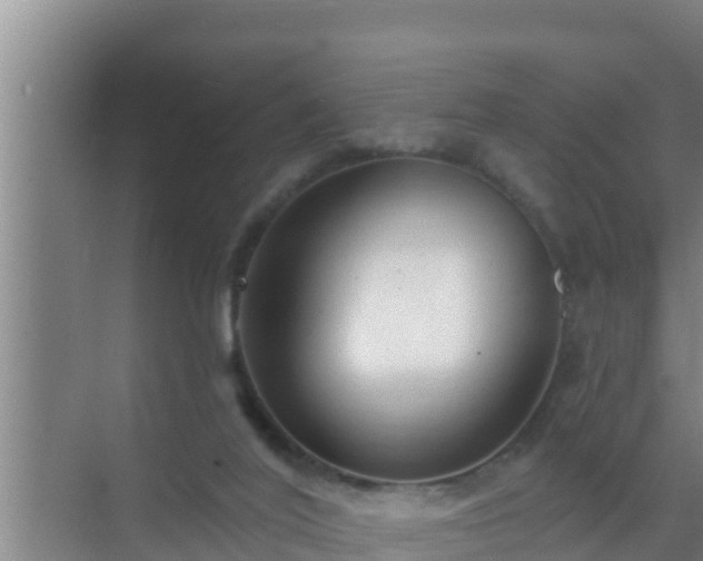 X0000072990020200607290025